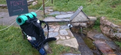 Camino de Santiago