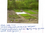 První úroda už začíná rašit - květen 2014